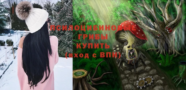 тгк Алексин